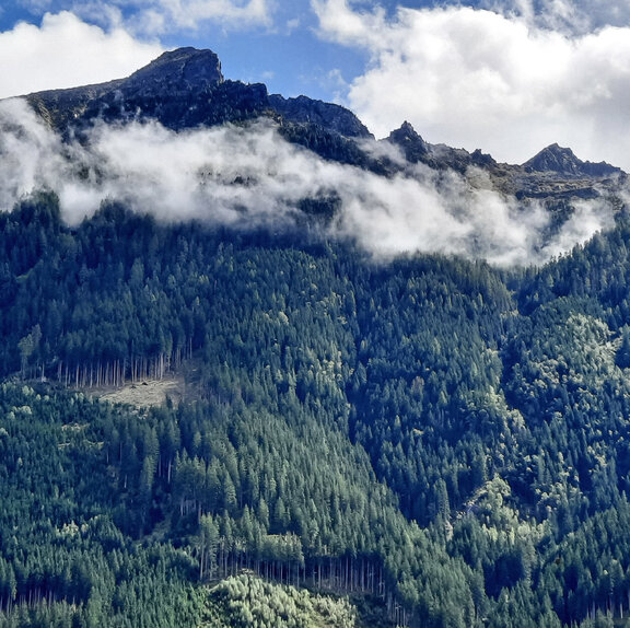 Panorama vom Ferienhaus Panorama vom Ferienhaus